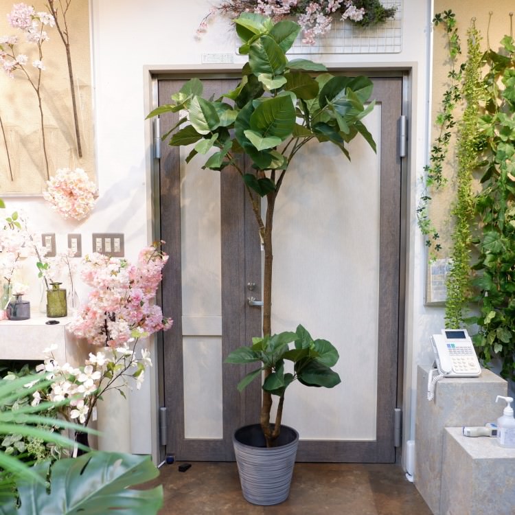 ٥顼ݥå(Ω)208cmVR22013 ƥե륰꡼ ͹տʪ ͹ ʰȭդ꡼