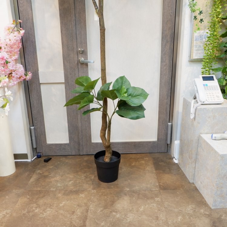 ٥顼ݥå(Ω)208cmVR22013 ƥե륰꡼ ͹տʪ ͹ ʰȭդ꡼