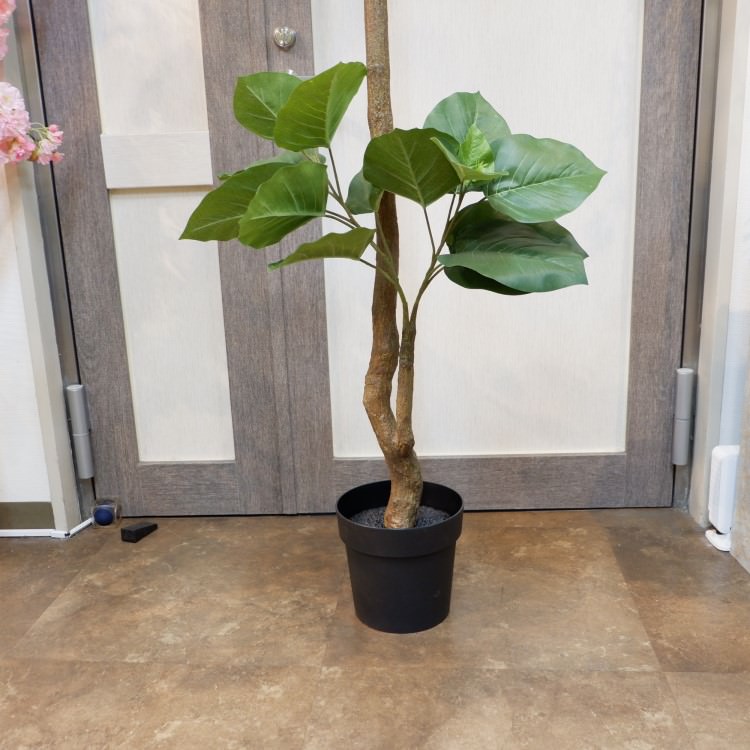 ٥顼ݥå(Ω)208cmVR22013 ƥե륰꡼ ͹տʪ ͹ ʰȭդ꡼