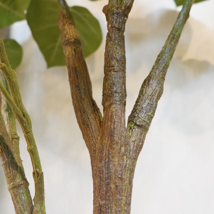 ٥顼ݥå(Ω)208cmVR22013 ƥե륰꡼ ͹տʪ ͹ ʰȭդ꡼