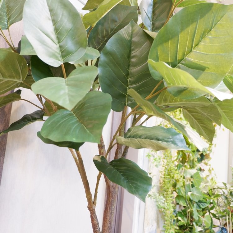 ٥顼ݥå(Ω)208cmVR22013 ƥե륰꡼ ͹տʪ ͹ ʰȭդ꡼