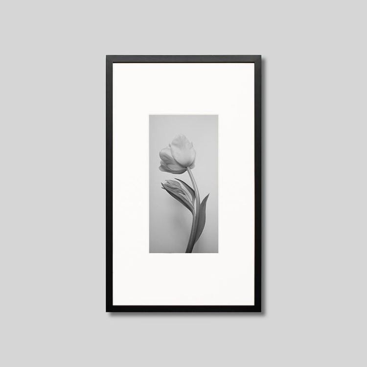 IGREBOW 塼åפβ֡[å 12] ܥ ƥꥢե ԥ㡼 ̿