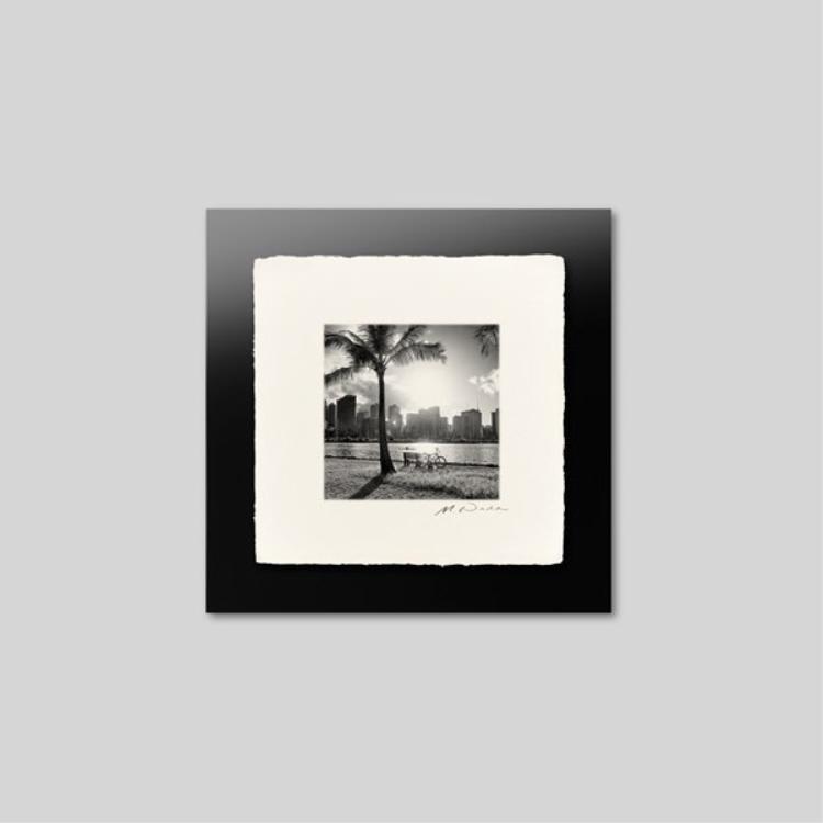 IGREBOW �ϥ磻 ��ī�Υ���⥢�ʥӡ������鸫��磻�����γ���[�»� 1��1] ��������ܥ� ����ƥꥢ�ե��� �ԥ����㡼������ �̿�