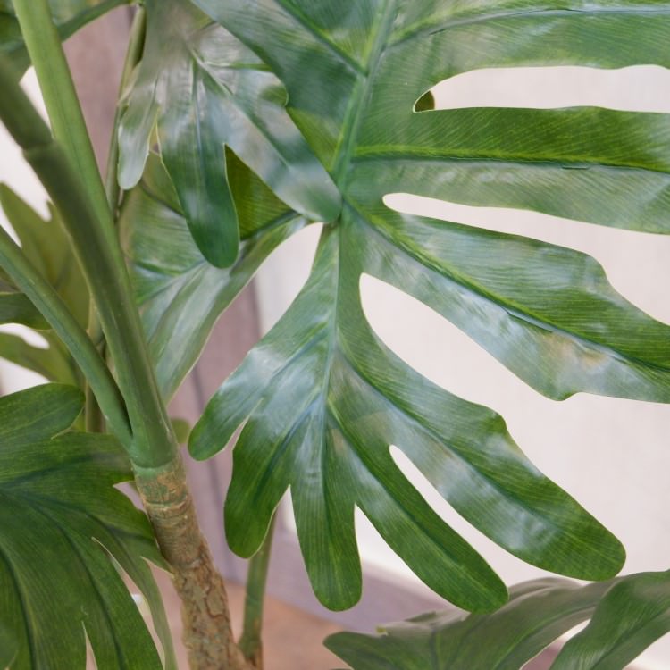 եǥɥݥå140cmVR22018 ƥե륰꡼ ͹տʪ ͹ ʰȭդ꡼