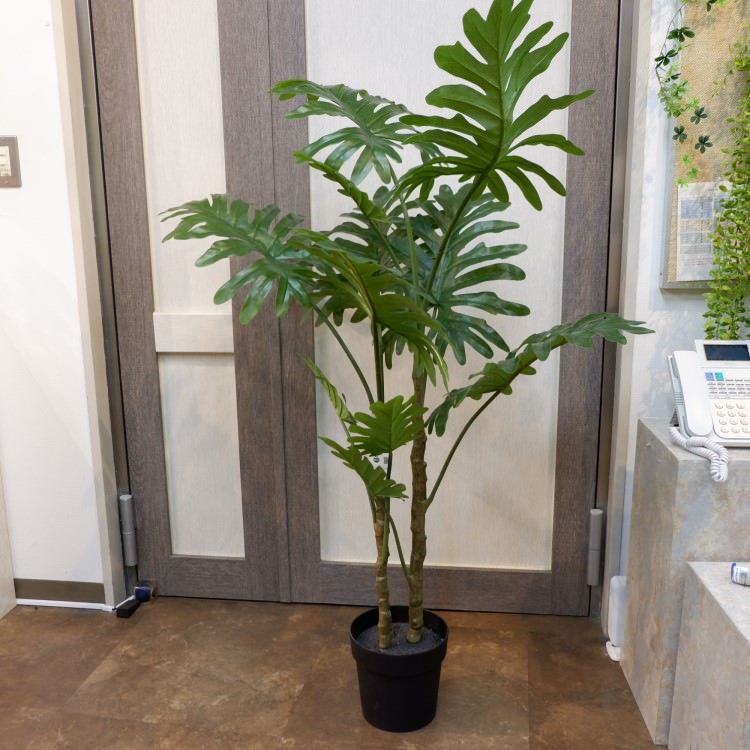 եǥɥݥå140cmVR22018 ƥե륰꡼ ͹տʪ ͹ ʰȭդ꡼