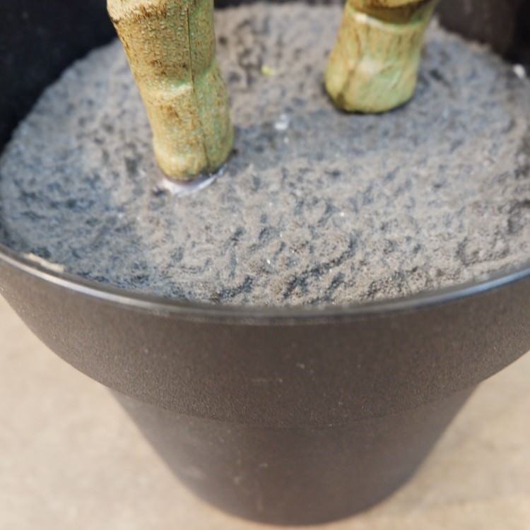 եǥɥݥå140cmVR22018 ƥե륰꡼ ͹տʪ ͹ ʰȭդ꡼