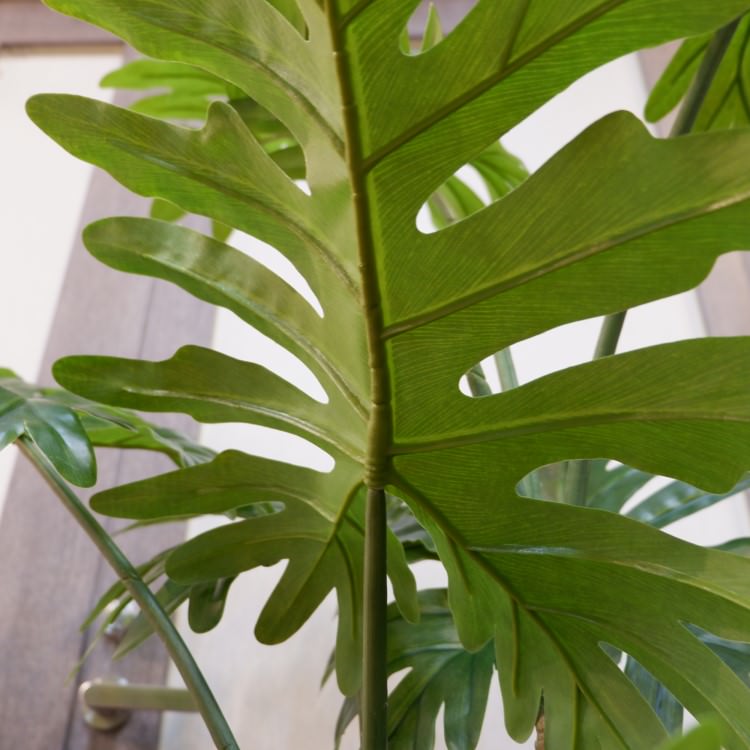 եǥɥݥå140cmVR22018 ƥե륰꡼ ͹տʪ ͹ ʰȭդ꡼