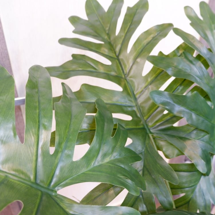 եǥɥݥå140cmVR22018 ƥե륰꡼ ͹տʪ ͹ ʰȭդ꡼