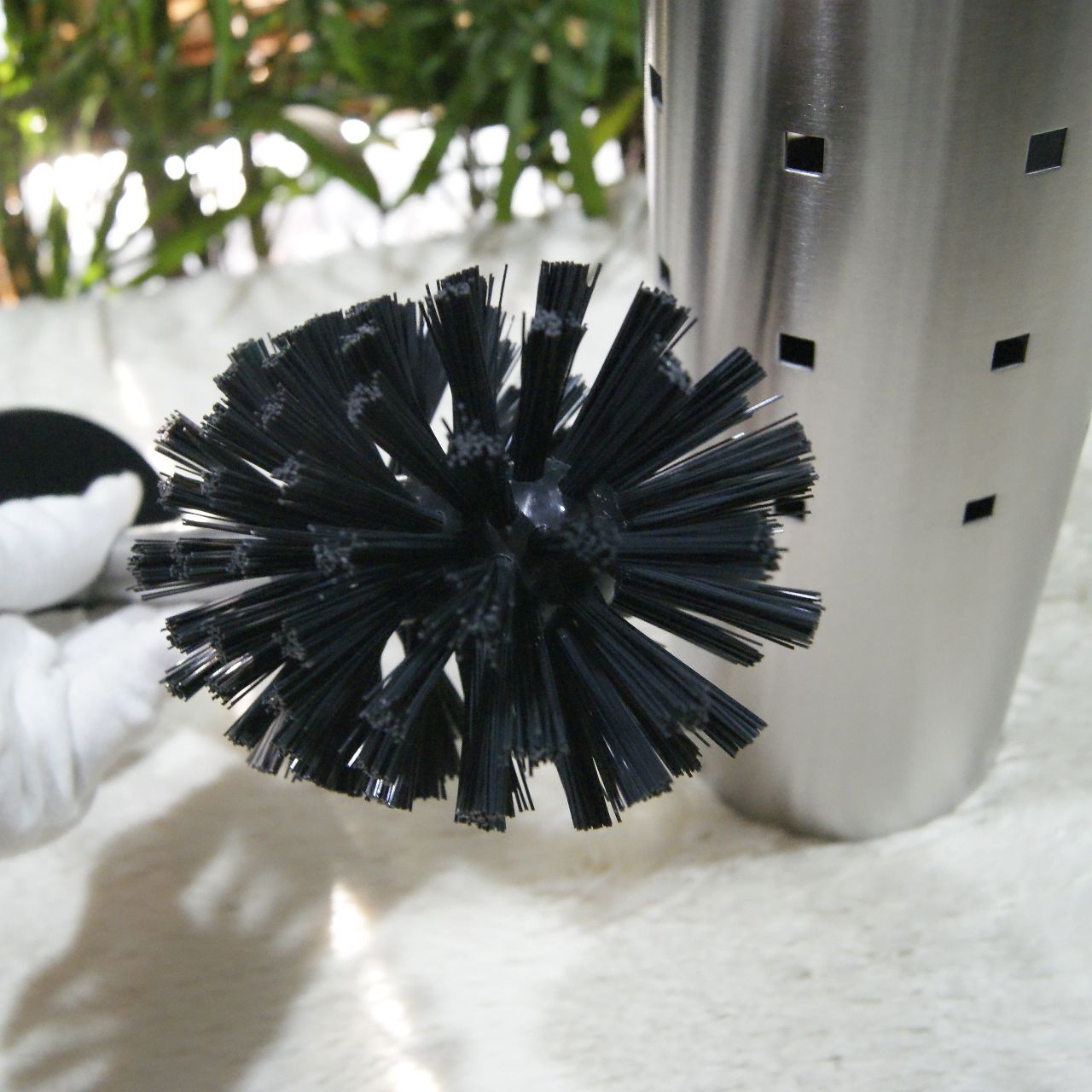 [] ZACK 40183 CARO ȥ֥饷å