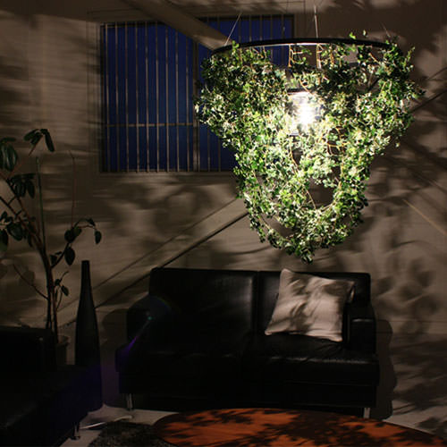 DI CLASSE(�ǥ�����å�)�Υڥ����ȥ��ס�Foresti grande �ե��쥹�ƥ������� ���꡼�� [Ǽ��̤��]