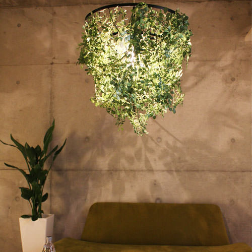 DI CLASSE(�ǥ�����å�)�Υڥ����ȥ��ס�Mini Foresti �ߥ˥ե��쥹�ƥ� ���꡼��