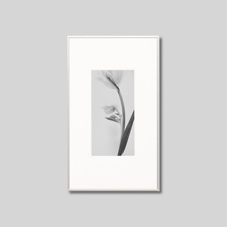 IGREBOW 塼åפβ֡[ 12] ܥ ƥꥢե ԥ㡼 ̿