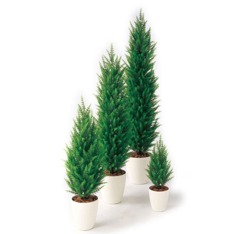 ɥ쥹GREEN W30H110cmTK98850 ƥե륰꡼ ͹տʪ ͹ ȭդ꡼