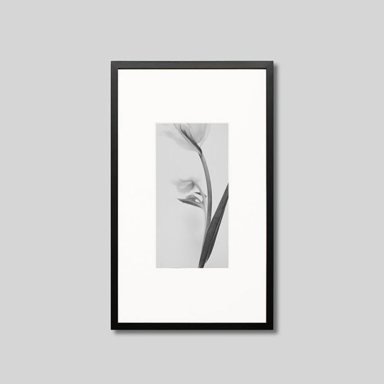 IGREBOW ���塼��åפβ֡�[���å� 1��2] ��������ܥ� ����ƥꥢ�ե��� �ԥ����㡼������ �̿�