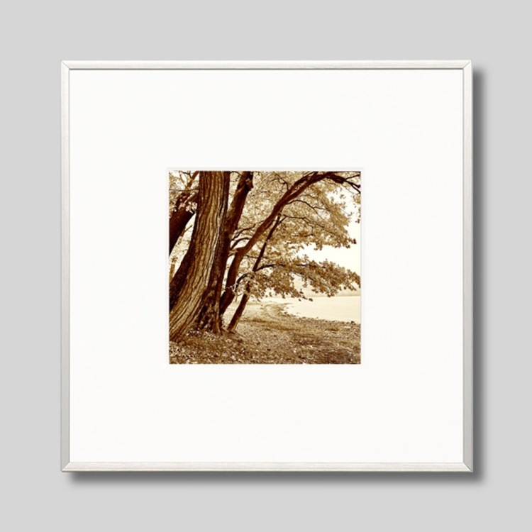 IGREBOW ̳ƻ ƶʡ[ 11] ܥ ƥꥢե ԥ㡼 ̿