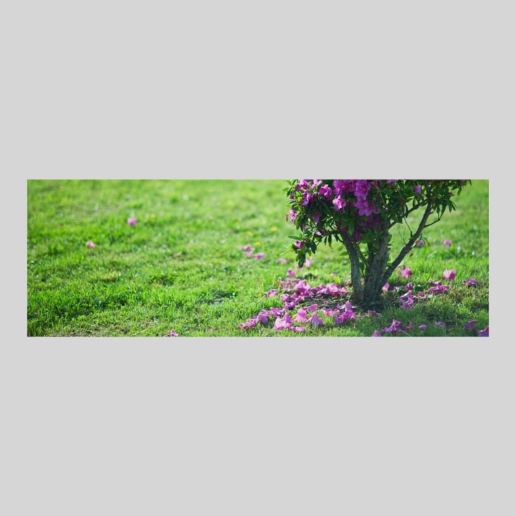 IGREBOW ����� �����˻��ä��֤Ӥ��[���å� 1��3] ��������ܥ� ����ƥꥢ�ե��� �ԥ����㡼������ �̿�