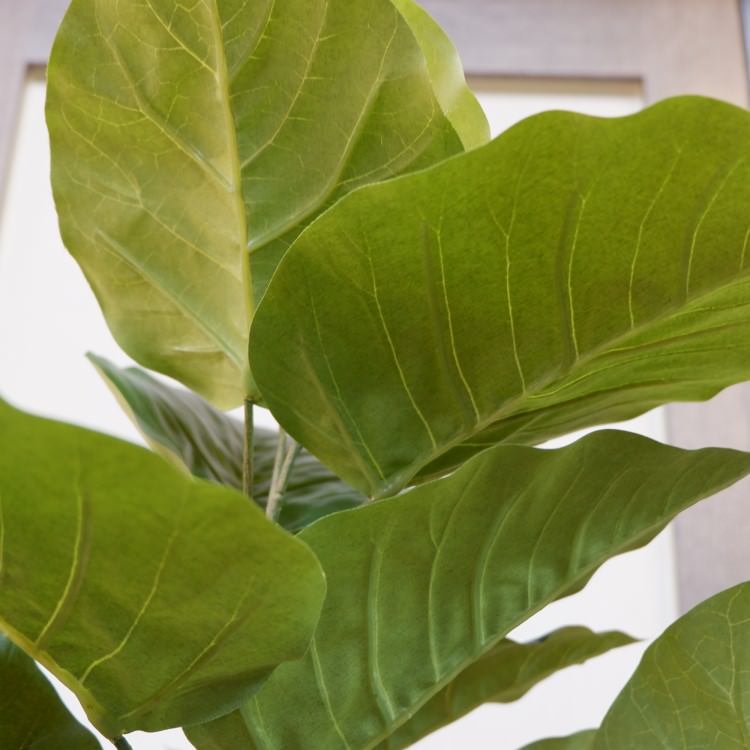 ĥȥ٥顼ݥå152cmVR22022 ƥե륰꡼ ͹տʪ ͹ ʰȭդ꡼