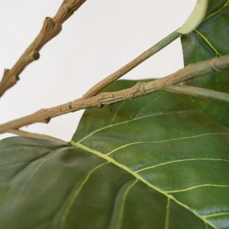 ĥȥ٥顼ݥå152cmVR22022 ƥե륰꡼ ͹տʪ ͹ ʰȭդ꡼