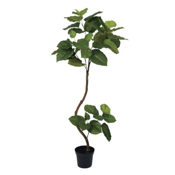 ĥȥ٥顼ݥå152cmVR22022 ƥե륰꡼ ͹տʪ ͹ ʰȭդ꡼