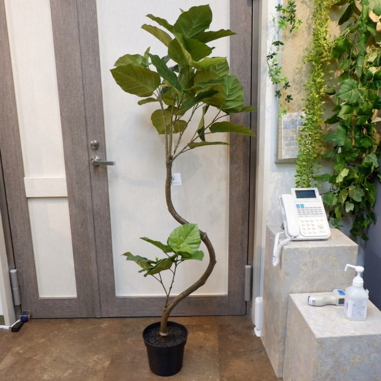 ĥȥ٥顼ݥå152cmVR22022 ƥե륰꡼ ͹տʪ ͹ ʰȭդ꡼