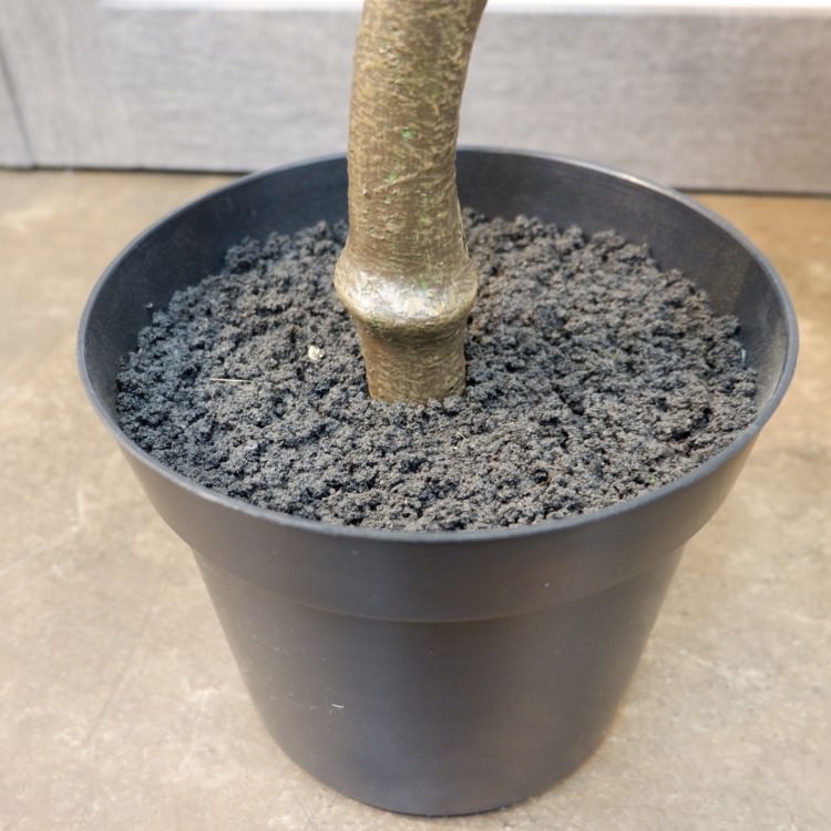 ĥȥ٥顼ݥå152cmVR22022 ƥե륰꡼ ͹տʪ ͹ ʰȭդ꡼