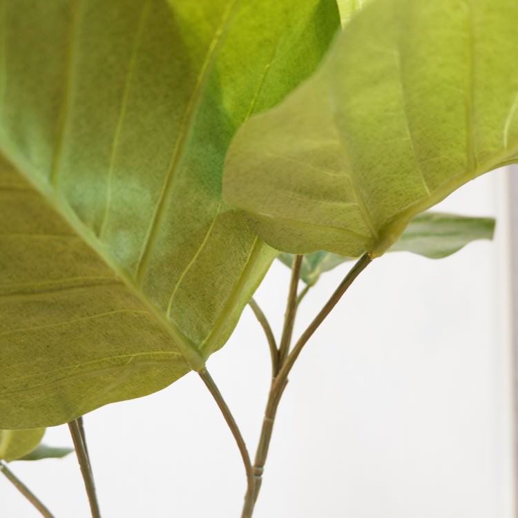 ĥȥ٥顼ݥå152cmVR22022 ƥե륰꡼ ͹տʪ ͹ ʰȭդ꡼