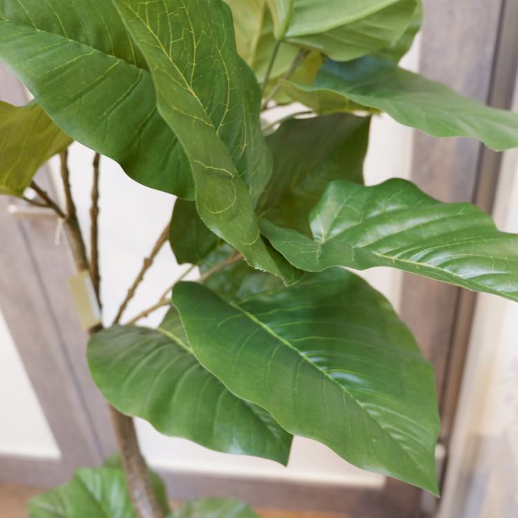 ĥȥ٥顼ݥå152cmVR22022 ƥե륰꡼ ͹տʪ ͹ ʰȭդ꡼