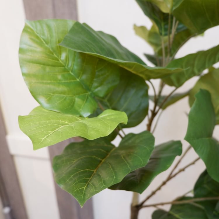 ĥȥ٥顼ݥå152cmVR22022 ƥե륰꡼ ͹տʪ ͹ ʰȭդ꡼