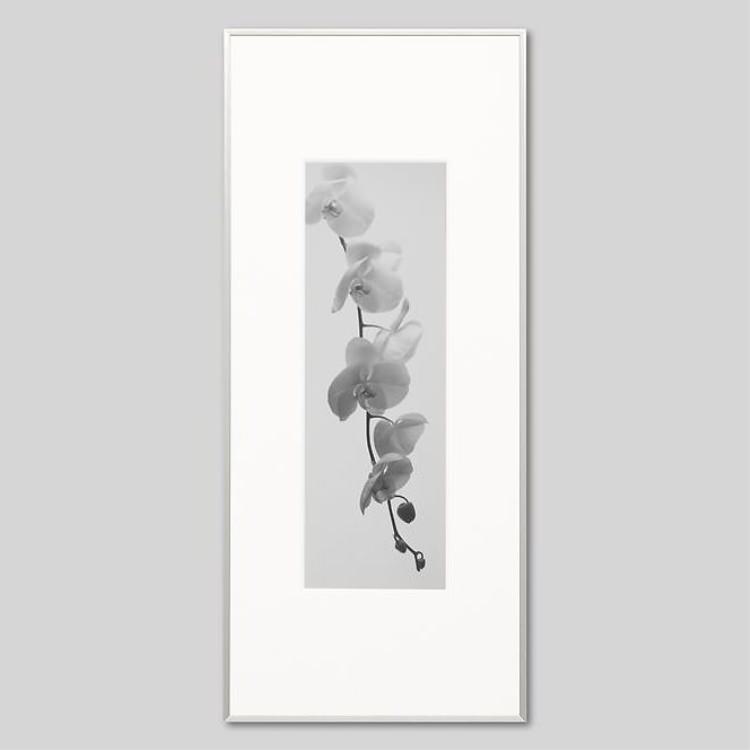 IGREBOW ���β֡�[����� 1��3] ��������ܥ� ����ƥꥢ�ե��� �ԥ����㡼������ �̿�