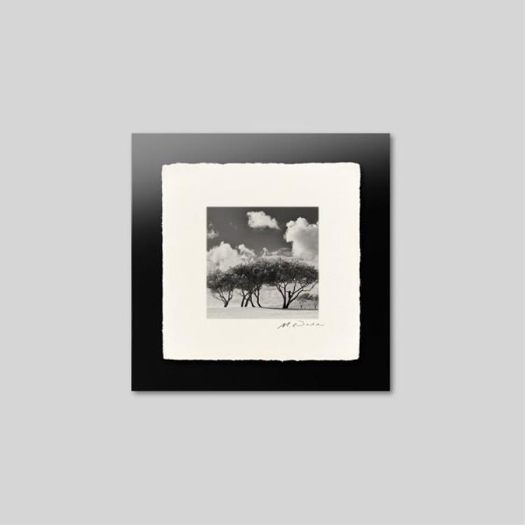 IGREBOW ϥ磻 ӡ ǯ[» 11] ܥ ƥꥢե ԥ㡼 ̿