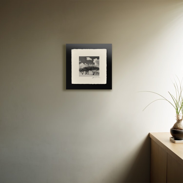 IGREBOW ϥ磻 ӡ ǯ[» 11] ܥ ƥꥢե ԥ㡼 ̿