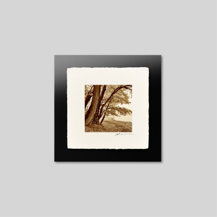 IGREBOW ̳ƻ ƶʡ[» 11] ܥ ƥꥢե ԥ㡼 ̿