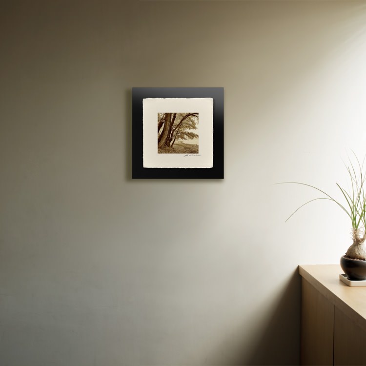 IGREBOW ̳ƻ ƶʡ[» 11] ܥ ƥꥢե ԥ㡼 ̿