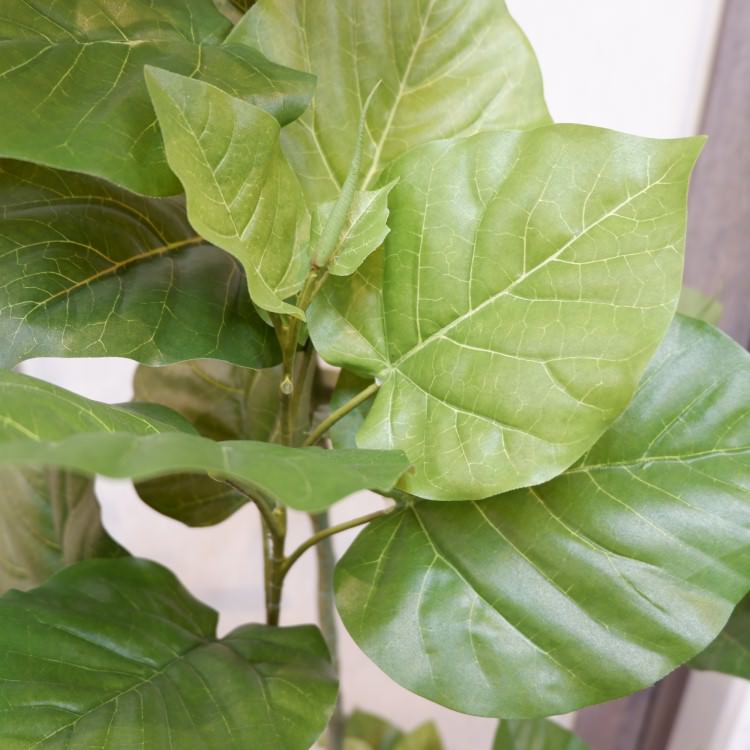 ٥顼ݥå168cmVR22023 ƥե륰꡼ ͹տʪ ͹ ʰȭդ꡼