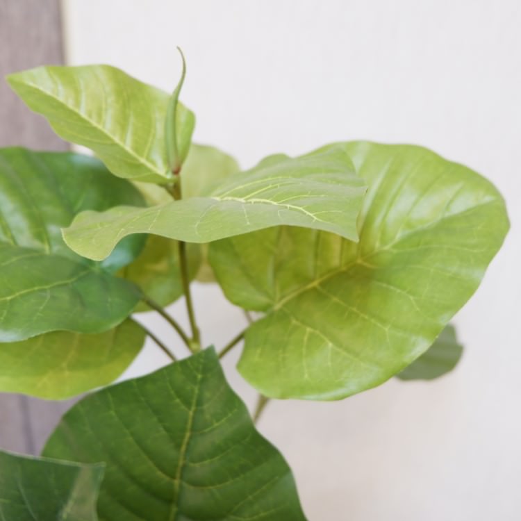 ٥顼ݥå168cmVR22023 ƥե륰꡼ ͹տʪ ͹ ʰȭդ꡼