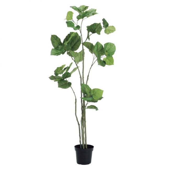 ٥顼ݥå168cmVR22023 ƥե륰꡼ ͹տʪ ͹ ʰȭդ꡼