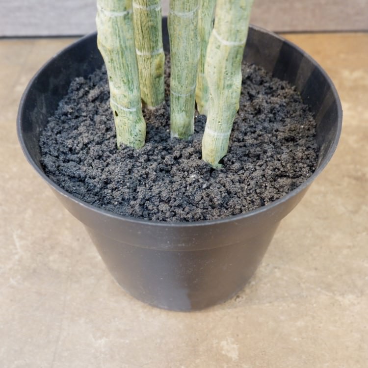 ٥顼ݥå168cmVR22023 ƥե륰꡼ ͹տʪ ͹ ʰȭդ꡼