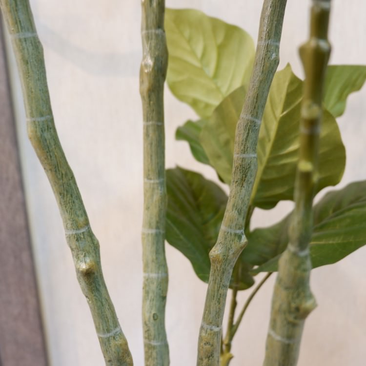 ٥顼ݥå168cmVR22023 ƥե륰꡼ ͹տʪ ͹ ʰȭդ꡼