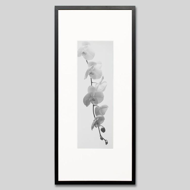 IGREBOW β֡[å 13] ܥ ƥꥢե ԥ㡼 ̿