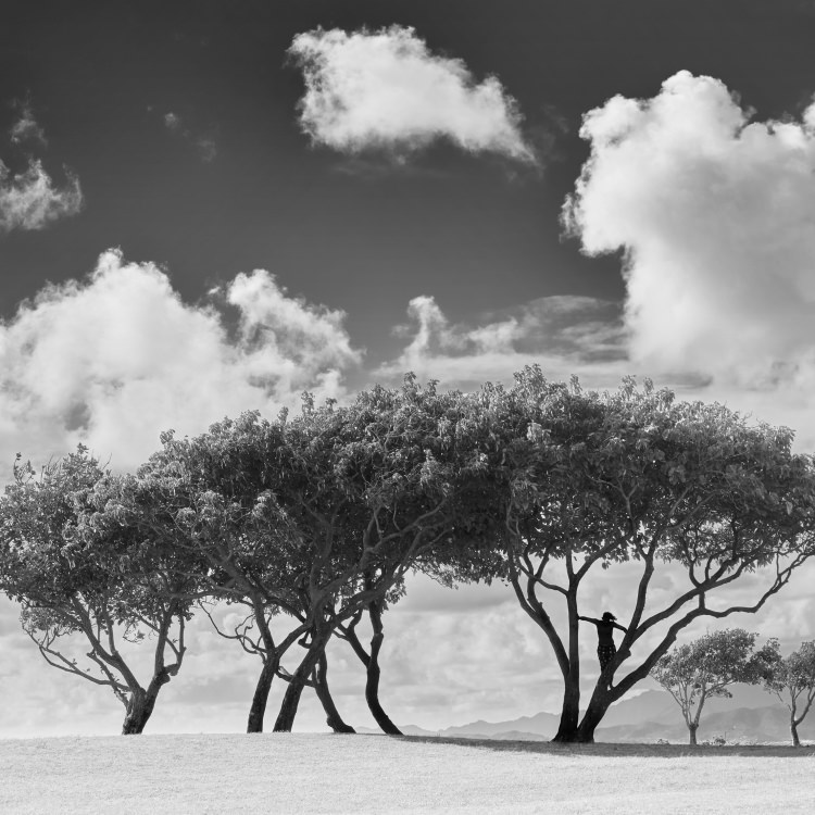 IGREBOW ϥ磻 ӡ ǯ[å 11] ܥ ƥꥢե ԥ㡼 ̿