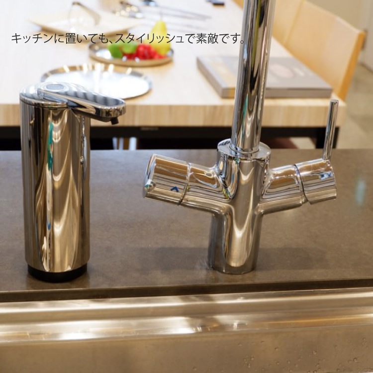 ZACK 40543 TERVO �ɥ���ZACK���������ǥ�����Υ��󥵡��ꥭ�åɥǥ����ڥ󥵡� MP [�߸�ͭ��]