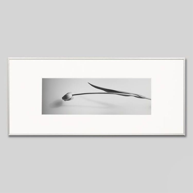 IGREBOW ���塼��åפβ֡�[����� 1��3] ��������ܥ� ����ƥꥢ�ե��� �ԥ����㡼������ �̿�