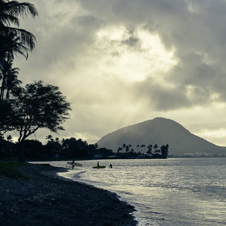 IGREBOW �ϥ磻 �������Υӡ��� �������졼�����ȥ����ե�����[����� 1��1] ��������ܥ� ����ƥꥢ�ե��� �ԥ����㡼������ �̿�