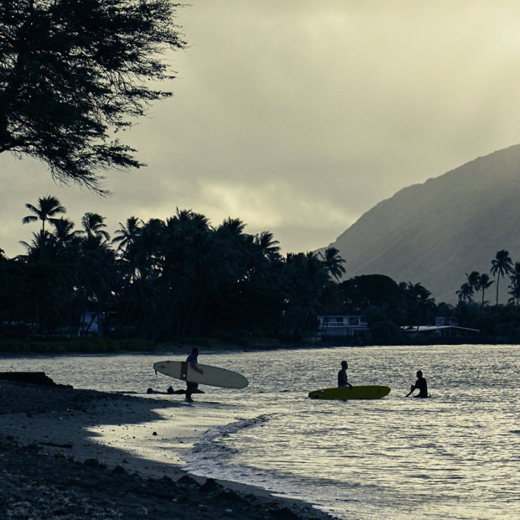 IGREBOW �ϥ磻 �������Υӡ��� �������졼�����ȥ����ե�����[����� 1��1] ��������ܥ� ����ƥꥢ�ե��� �ԥ����㡼������ �̿�