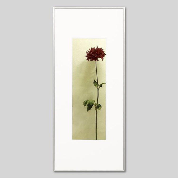 IGREBOW ꥢβ֡[ 13] ܥ ƥꥢե ԥ㡼 ̿