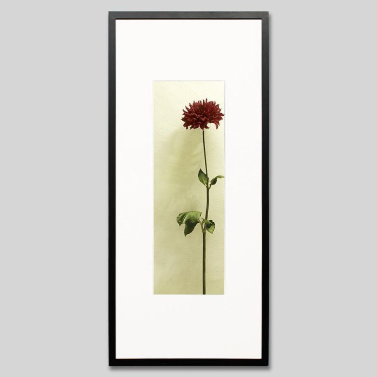 IGREBOW ���ꥢ�β֡�[���å� 1��3] ��������ܥ� ����ƥꥢ�ե��� �ԥ����㡼������ �̿�