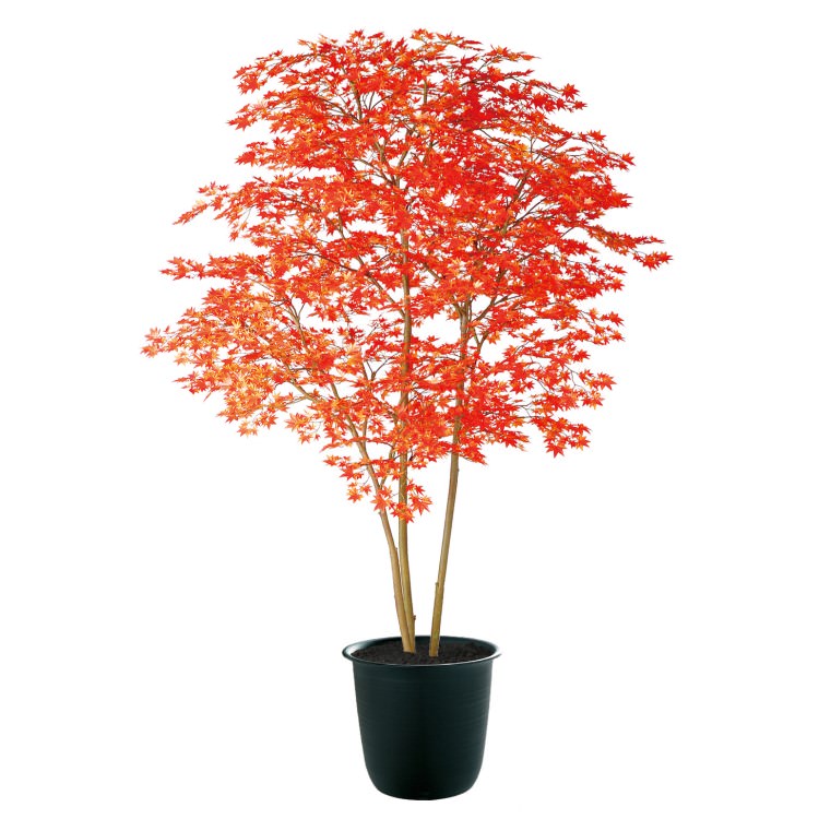 ��ޥ�ߥ���Ω RED FST W140��H200cm��TK91771 �����ƥ��ե�����륰�꡼�� �͹����տ�ʪ �͹����� ȭ�դ����꡼��