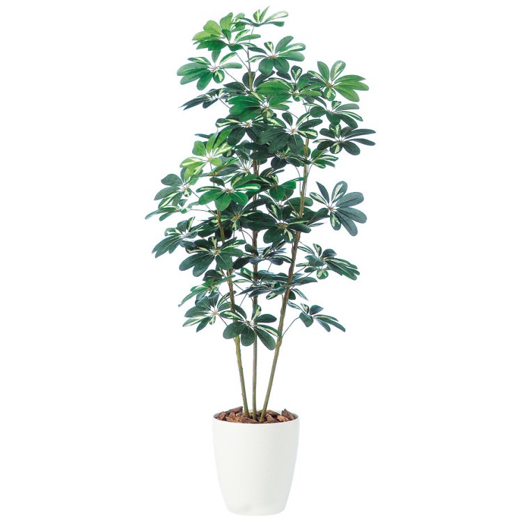 �����ե�� W75��H150cm��TK98892 �����ƥ��ե�����륰�꡼�� �͹����տ�ʪ �͹����� ȭ�դ����꡼��