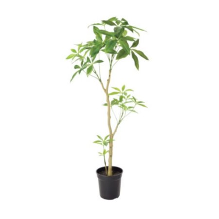 ѥݥå117cmVR22026 ƥե륰꡼ ͹տʪ ͹ ʰȭդ꡼