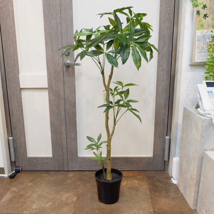 ѥݥå117cmVR22026 ƥե륰꡼ ͹տʪ ͹ ʰȭդ꡼